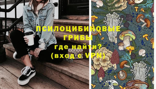 хмурый Дмитровск