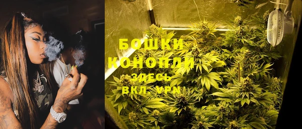 мет Дмитриев