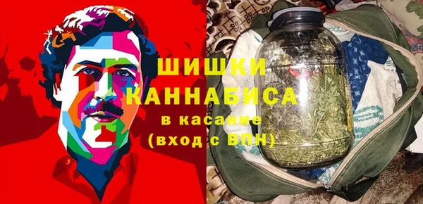 мет Дмитриев