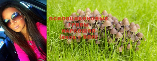 мет Дмитриев