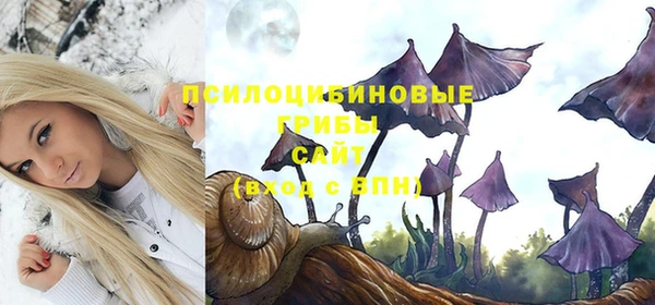 мет Дмитриев